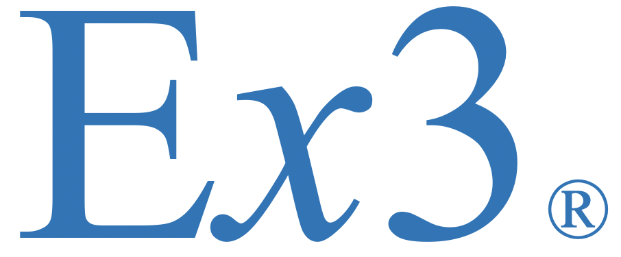Efficient Enterprise Engineering (Ex3) logo