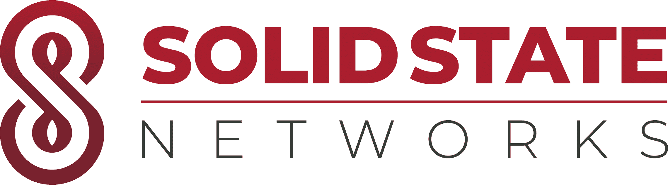 Solid State Networks logo